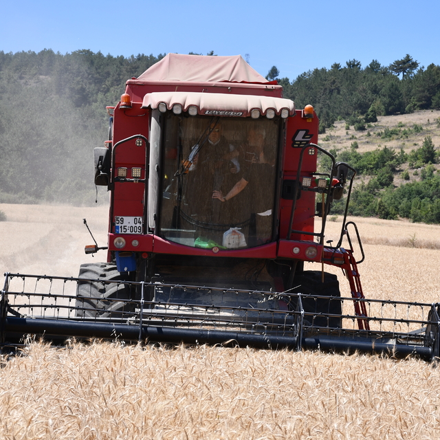 Bilecik Valisi Sözer buğday hasadına katıldı