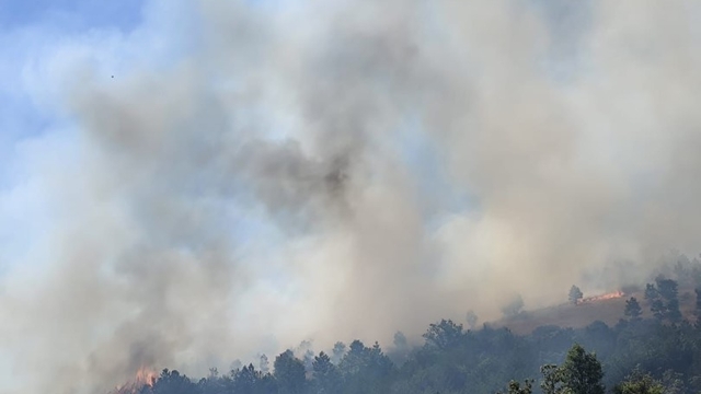 Balıkesir'de orman yangını