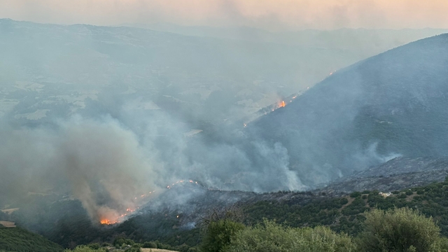 Manisa Sarıgöl'de çıkan yangın Uşak'a ulaştı; bazı evler tahliye edildi