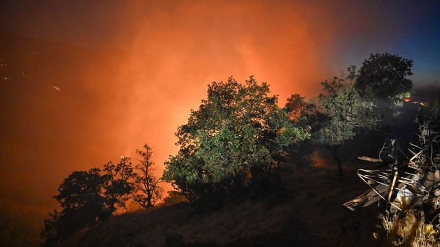 Uşak'ta orman yangını; bir çiftlik tahliye edildi