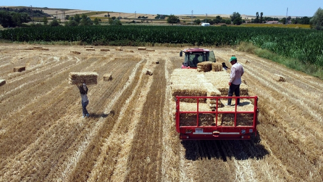 Edirne'de hasadın tamamlandığı tarlalarda kavurucu sıcakta balya mesaisi