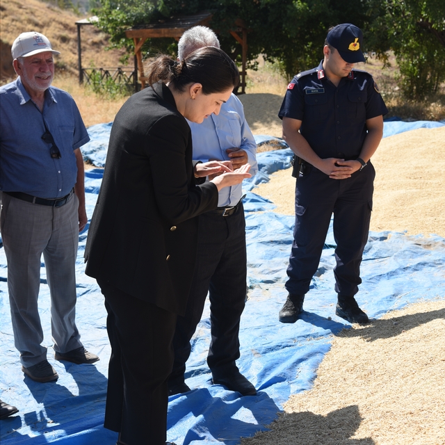 Bahşılı Kaymakamı Bozkır, buğday hasadına katıldı