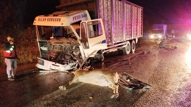 Bolu'da yola çıkan geyiğin neden olduğu kazada 1 kişi öldü, 1 kişi yaralandı