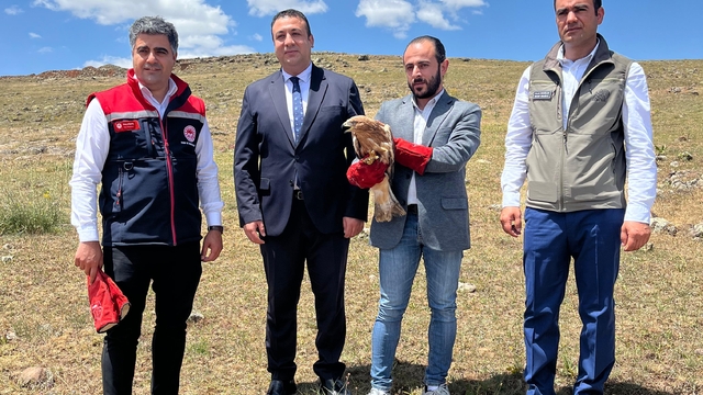 Erzurum'da yaralı bulunan şahin tedavisinin ardından doğaya bırakıldı