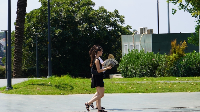 Galeri