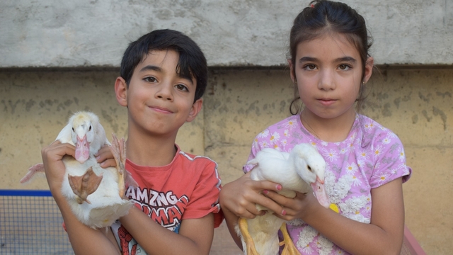 Vali Canalp, ördekleri çalınan Cudi ile kardeşine 2 ördek hediye etti