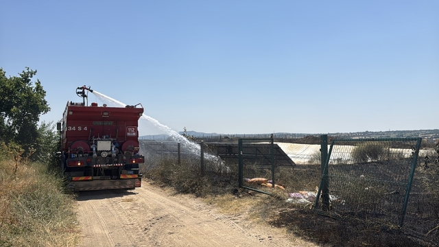 Kırklareli'nde 20 dekar ceviz bahçesi yangında zarar gördü