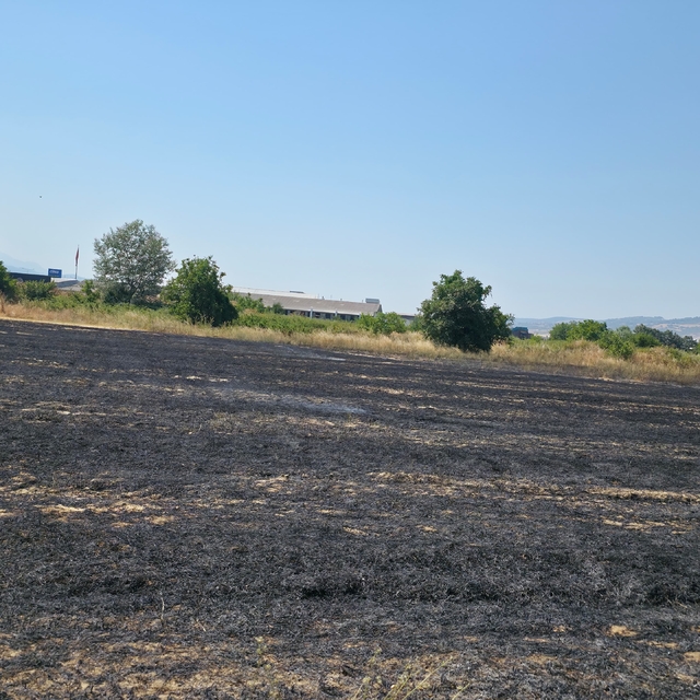 Bursa'da tarlada çıkan yangın söndürüldü
