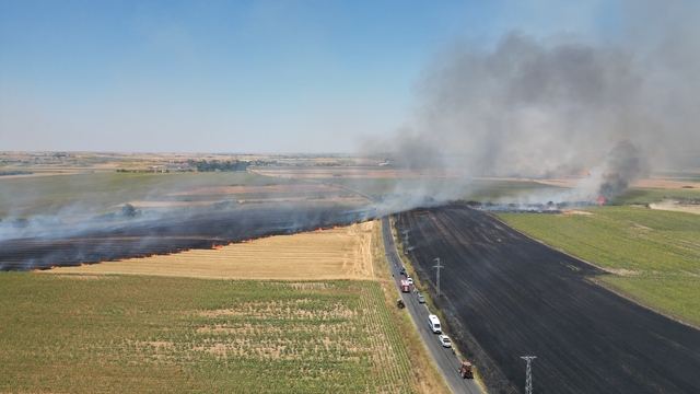 Tekirdağ'da tarım alanında başlayan yangın söndürüldü