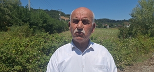 Samsun'da su kanallarının taşması sonucu tarım arazileri zarar gördü