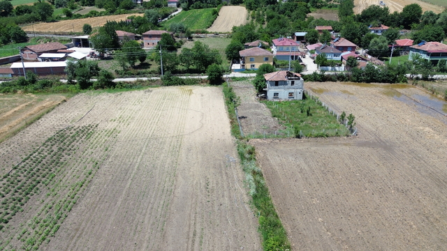 Galeri