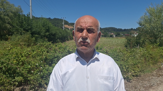 Samsun'da su kanallarının taşması sonucu tarım arazileri zarar gördü