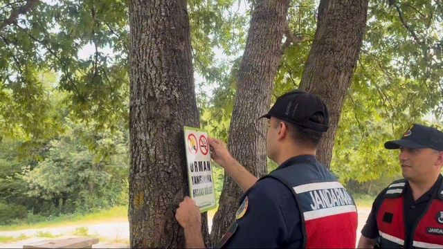 Türkeli'de jandarma ekiplerince ormanlık alanda denetim yapıldı