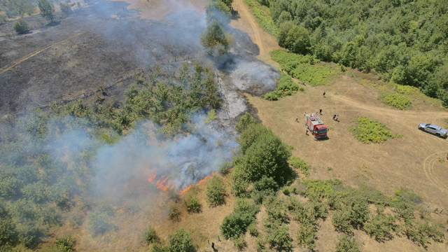 Düzce'de çıkan örtü yangını kontrol altına alındı