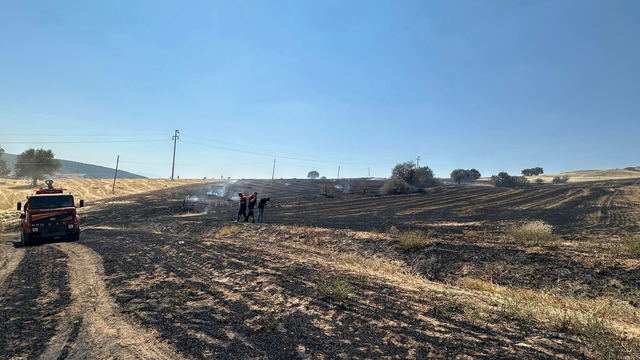 Isparta'da ekin tarlasında çıkan yangın söndürüldü