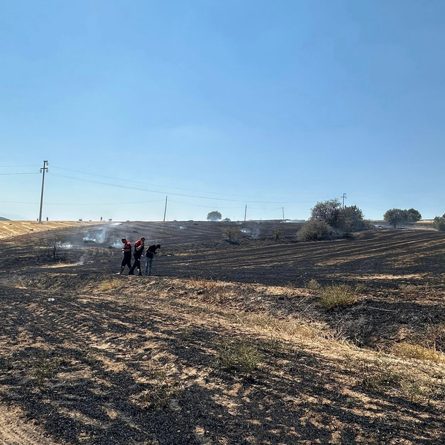 Isparta'da ekin tarlasında çıkan yangın söndürüldü