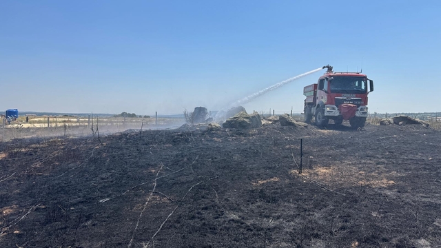 Kırklareli'nde tarım arazisinden ormanlık alana sıçrayan yangına müdahale ediliyor