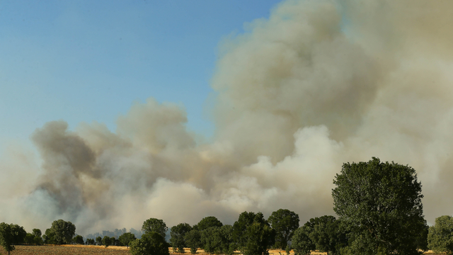 Uşak'ta tarım arazisinde başlayıp ormanlık alana sıçrayan yangına müdahale ediliyor