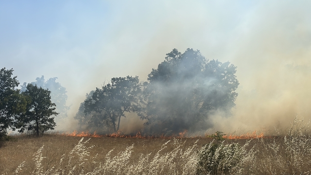 Hamzabeyli Sınır Kapısına giden kara yolu yangın nedeniyle trafiğe kapatıldı