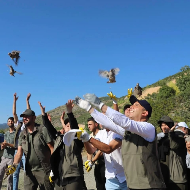 Çankırı'da 600 kınalı keklik doğaya bırakıldı