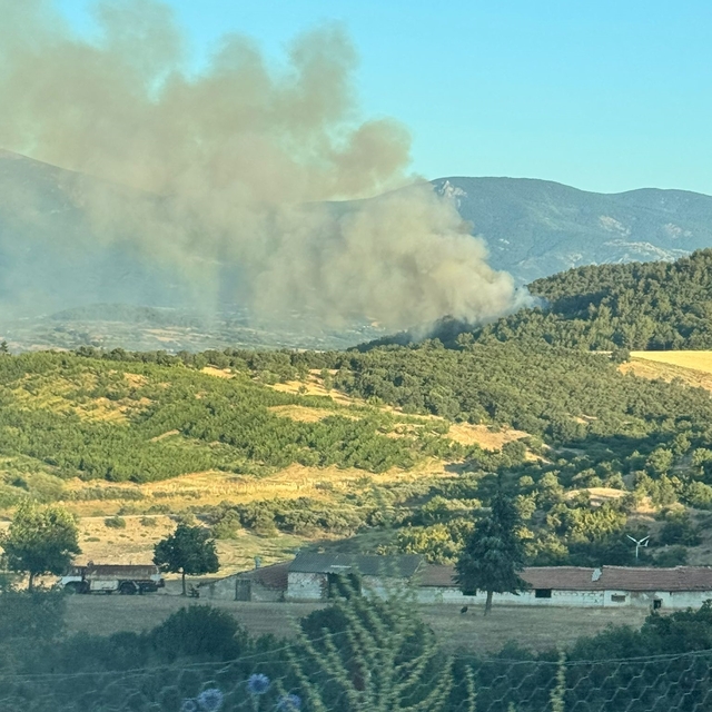 Çanakkale'de çıkan orman yangını söndürüldü