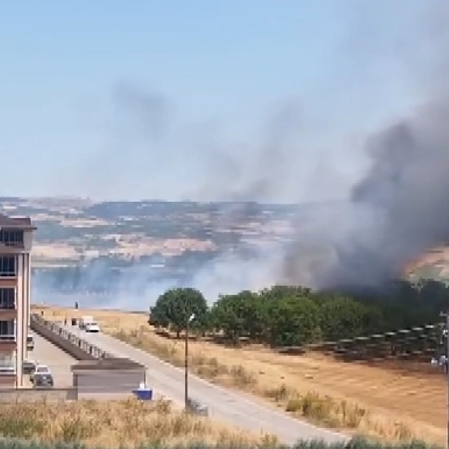 Anız yangınında alevler konutlara sıçramadan söndürüldü