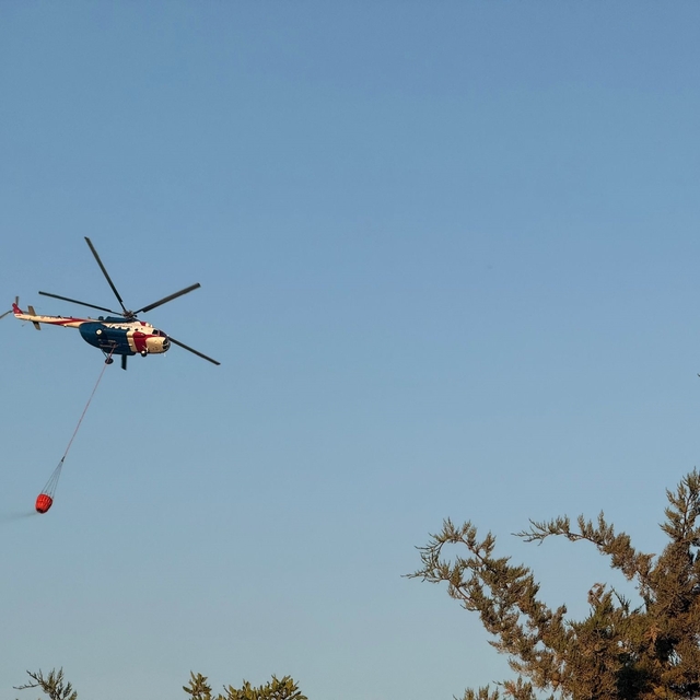 Bursa'da orman yangını