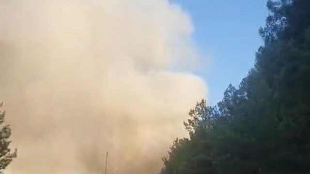 Çanakkale'de orman yangını; Kaz dağlarındaki köy yolları ulaşıma kapatıldı