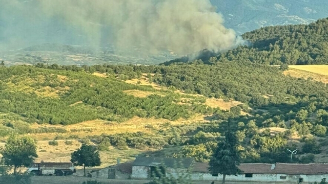 Çanakkale'de orman yangını; Kaz dağlarında kapanan köy yolları ulaşıma açıldı (2)