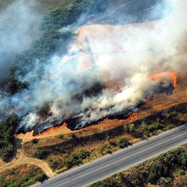 Edirne'de anız yangını; Hamzabeyli Sınır Kapısı'na giden yol 2 saat ulaşıma...