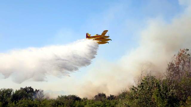 Kırklareli'de anız yangını ormana sıçradı