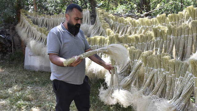 Mekanları süsleyen pampasın 'zahmetli' yolculuğu