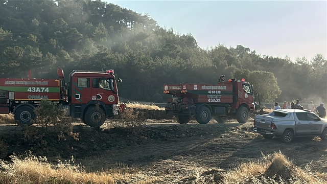 Uşak'ta tarlada çıkıp ormana sıçrayan yangın 11 saatte kontrol altına alındı