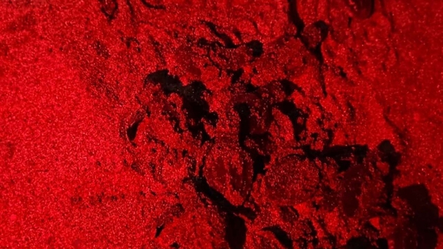 Galeri