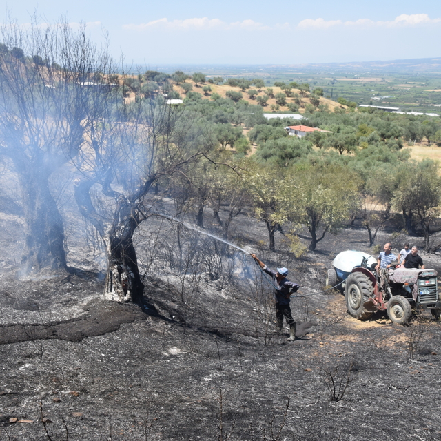 Manisa'da tarım arazisinde çıkan yangın kontrol altına alındı