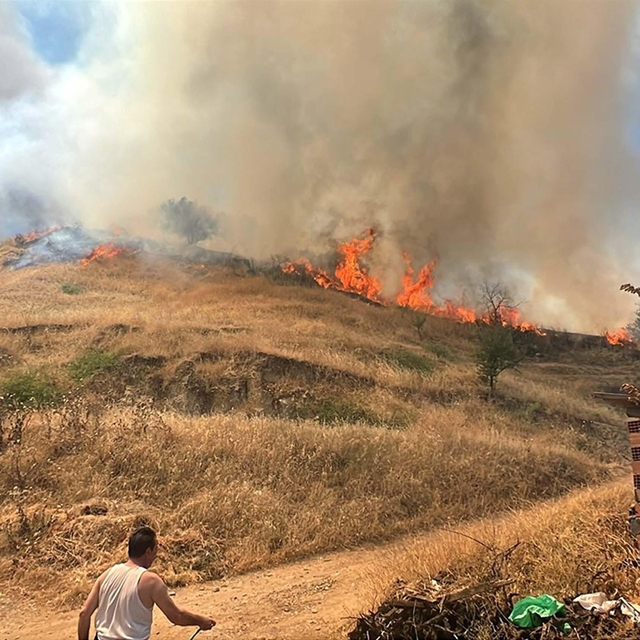 Tarım arazisinde çıkan yangın orama sıçradı
