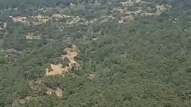 Aydın'da orman yangını