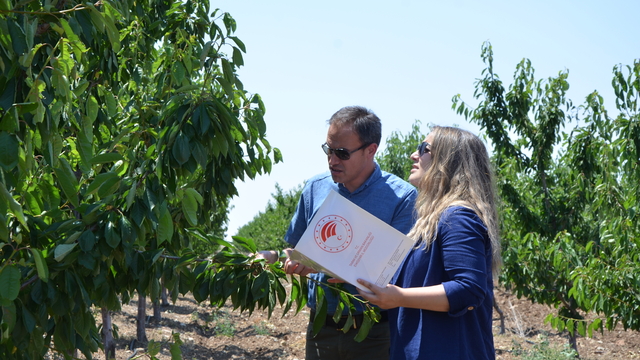 TBMM Zirai Don Olayını Araştırma Komisyonu, Eskişehir'de kiraz bahçelerini inceledi
