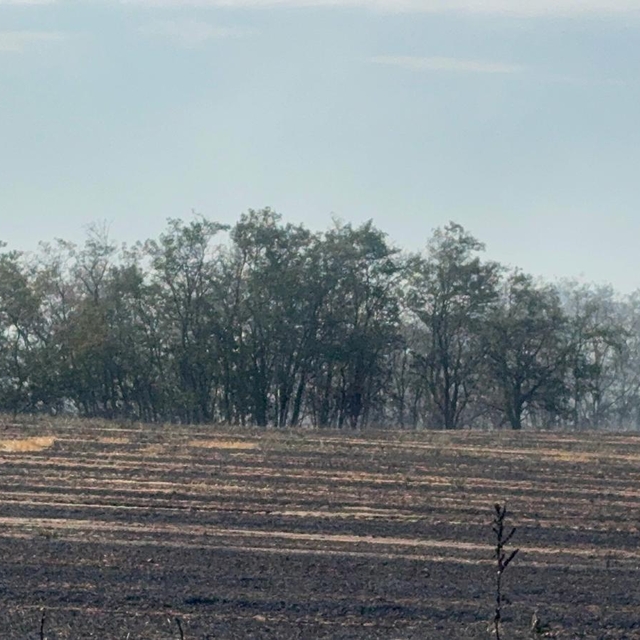 Tekirdağ'da otluk alanda çıkan yangın söndürüldü