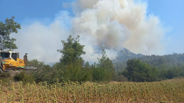 Bilecik'te ormanlık alana sıçrayan yangına müdahale ediliyor