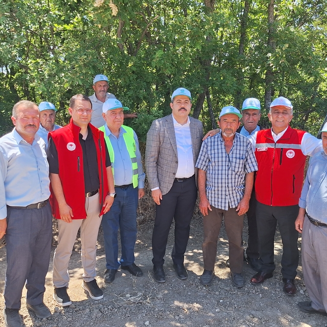 Vezirköprü'de kanola hasadı başladı