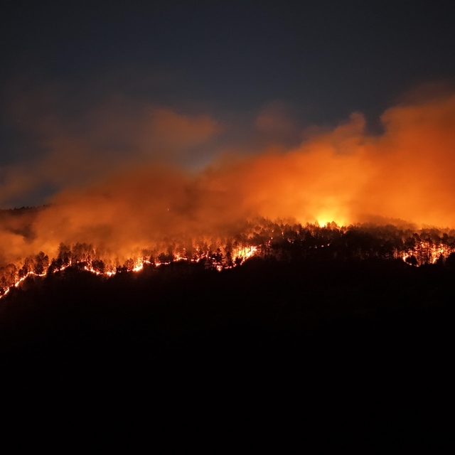 Çankırı'da 4 gün önce yanan ormanlık alanda yeniden yangın çıktı