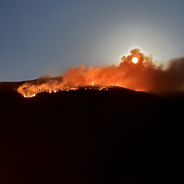 Çankırı'da orman yangını