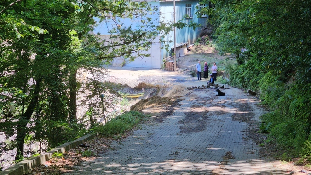 Galeri