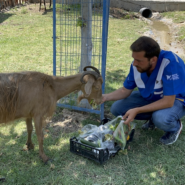 İzmir'deki yangında yaralanan 28 hayvan, Bursa'da tedavi ediliyor