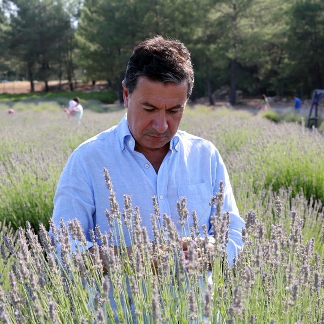 Muğla'da aromatik üretimler ekonomiye katkı sağlıyor
