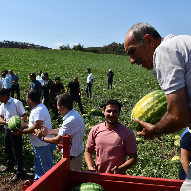 Bilecik'te yangınlardan etkilenen çiftçinin yetiştirdiği karpuzu Türkiye Ta...