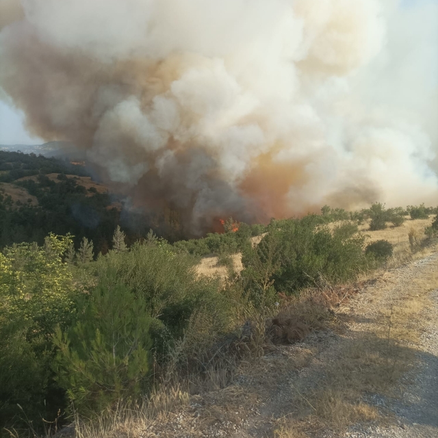 Bursa-Balıkesir sınırında çıkan orman yangınına müdahale ediliyor