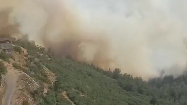 Bursa-Balıkesir sınırında orman yangını