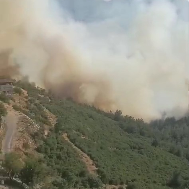 Bursa-Balıkesir sınırında orman yangını